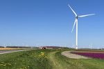 Advieswijzer Informatieplicht energiebesparing 2023